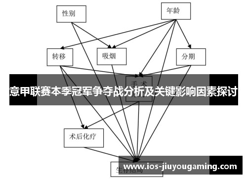 意甲联赛本季冠军争夺战分析及关键影响因素探讨