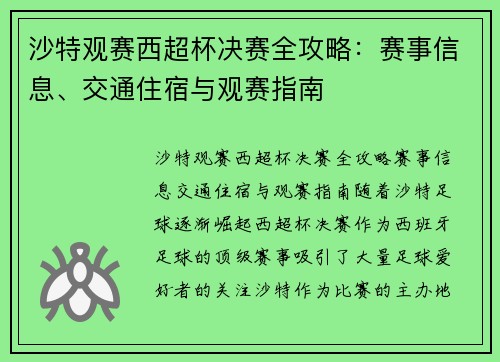 沙特观赛西超杯决赛全攻略：赛事信息、交通住宿与观赛指南