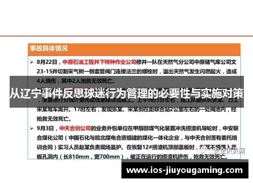 从辽宁事件反思球迷行为管理的必要性与实施对策