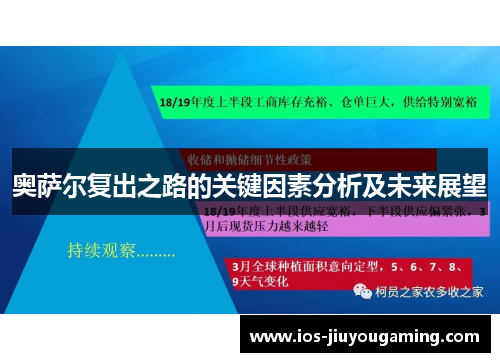 奥萨尔复出之路的关键因素分析及未来展望