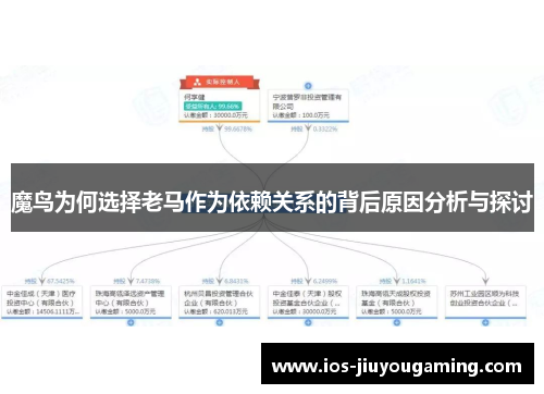 魔鸟为何选择老马作为依赖关系的背后原因分析与探讨